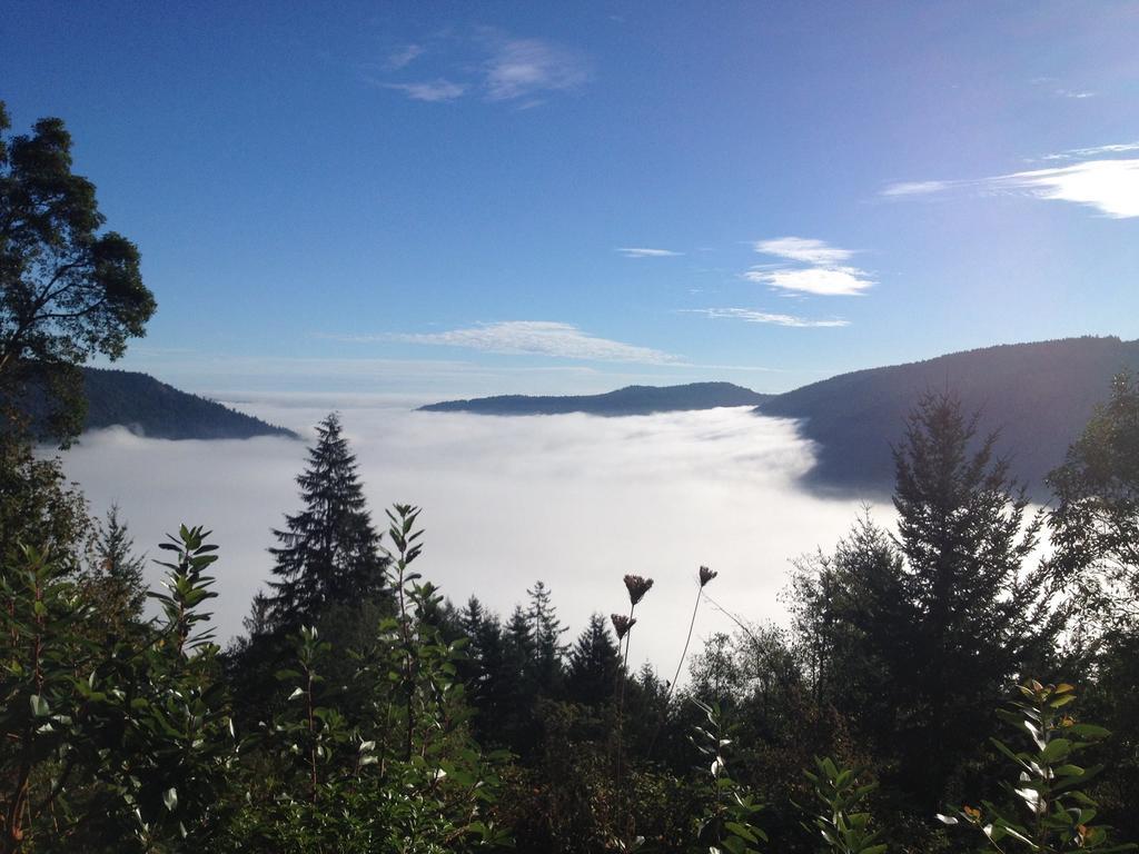 Moon Water Lodge Malahat Zimmer foto